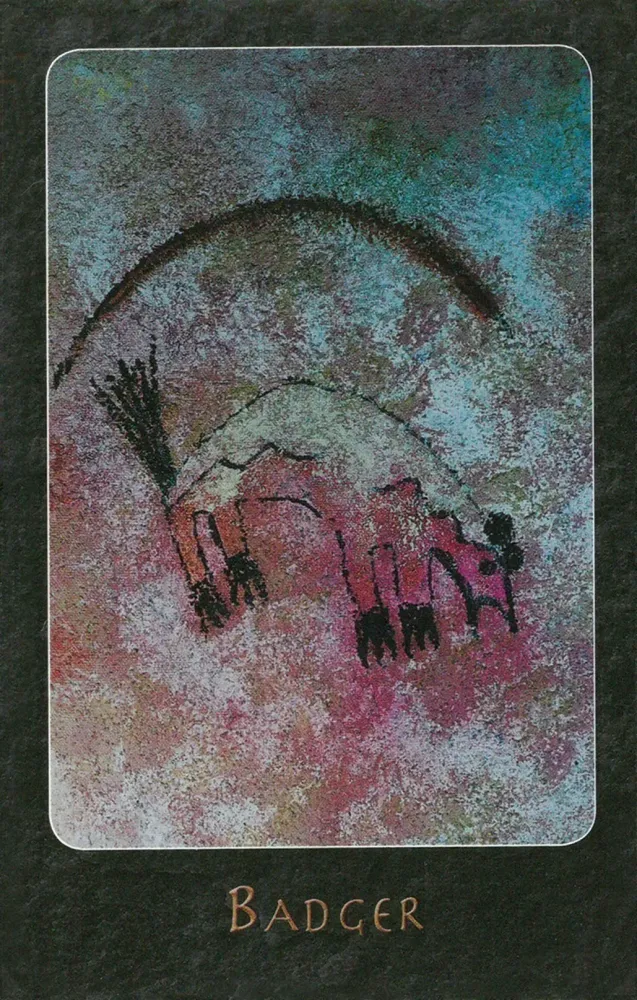 A Shaman Oracle Cards